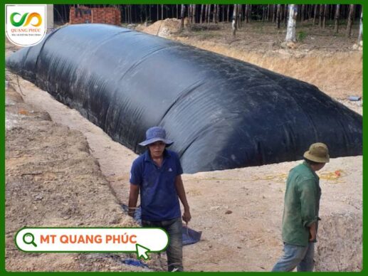 Hầm Biogas