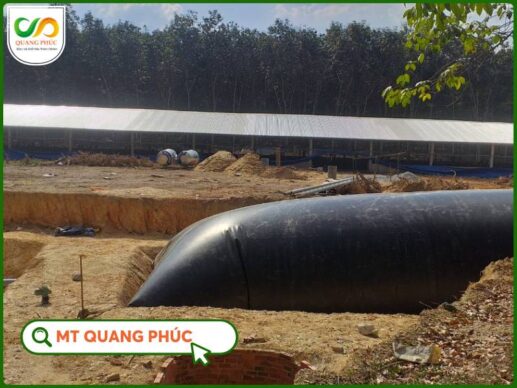 Biogas