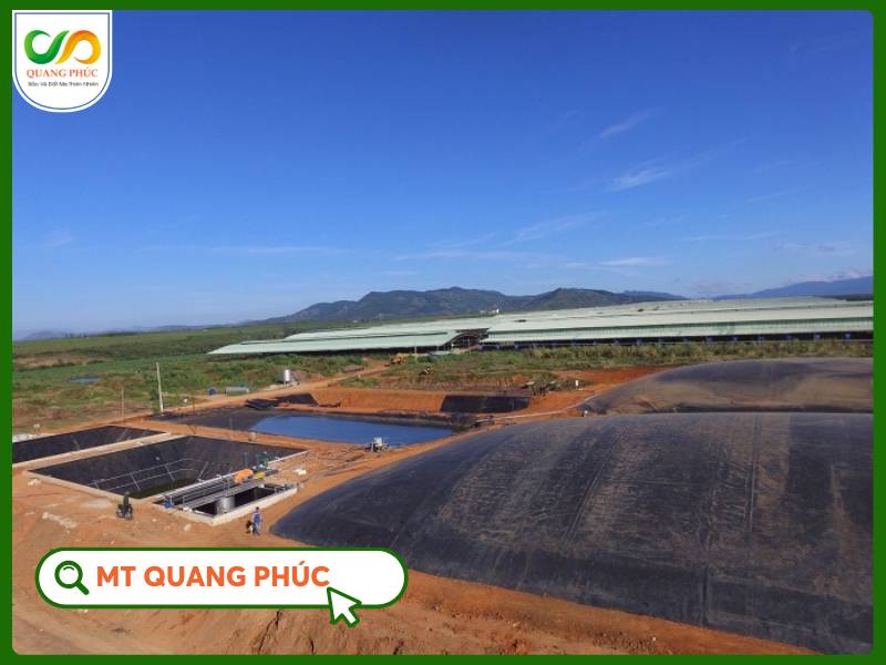 Hầm Biogas HDPE