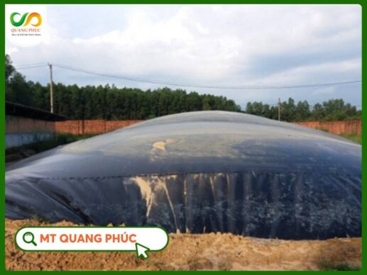 hầm biogas