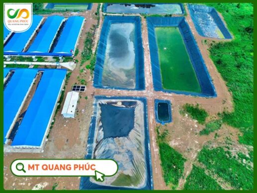 hầm biogas 