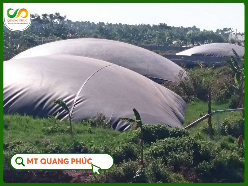 Hầm biogas