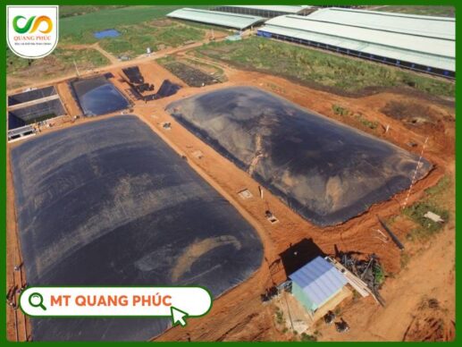 Biogas