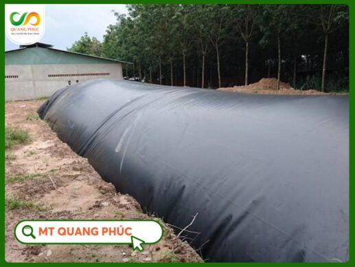 Biogas