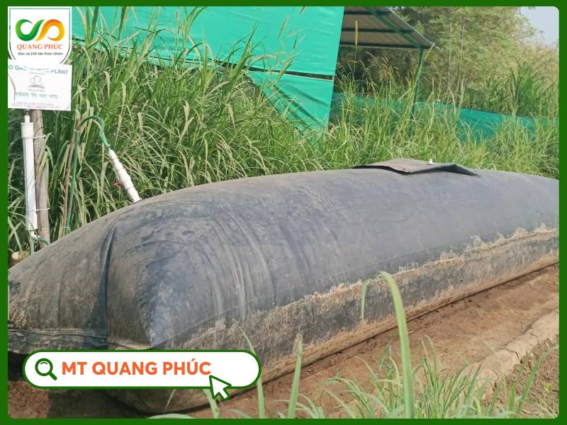 Hầm Biogas
