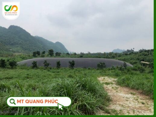 Hầm Biogas