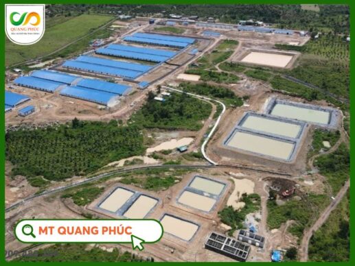 Hầm Biogas
