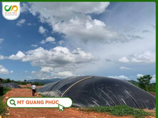 Khí Trong Hầm Biogas