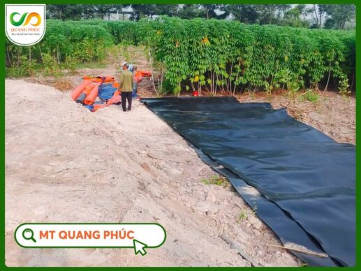 Xử Lý Nước Thải Sau Hầm Biogas