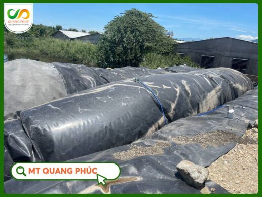 Xử Lý Nước Thải Sau Hầm Biogas